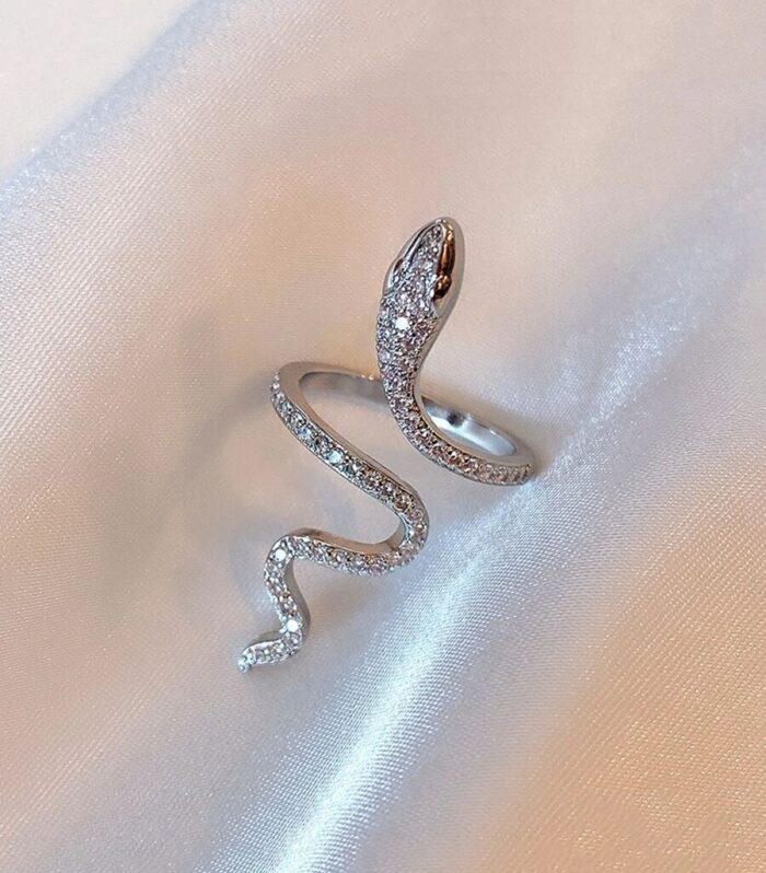 Silver Snake Ring